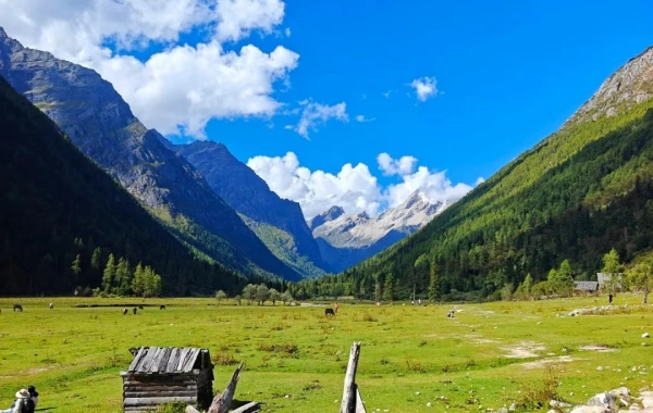 Jour6 Vallée de Changping du Mont Siguniang