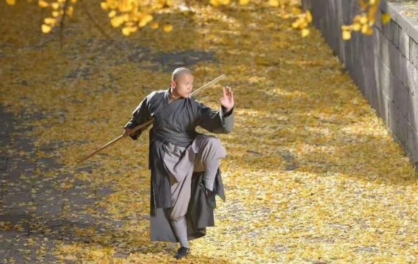 Jour 1: Luoyang--Dengfeng