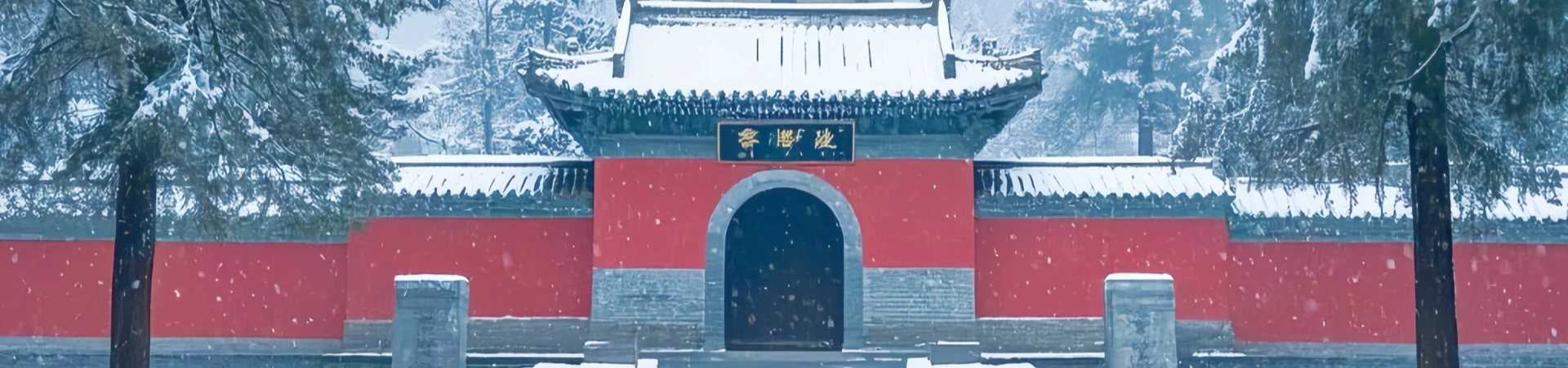 1 jour Grottes Longmen & Shaolin Visite culturelle du Temple