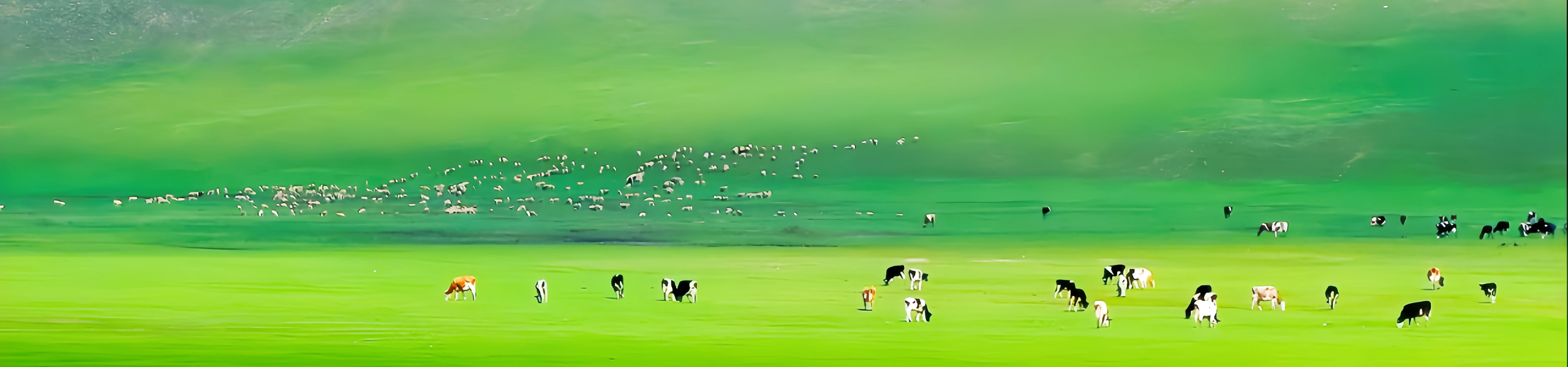 Taiyuan-Datong-Hohhot In-depth Travel Guide