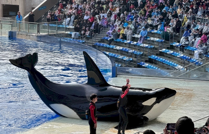 shanghai ocean park